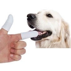 624C 강아지 일회용 거즈 손가락 칫솔 2개입 1P 고양이_624C