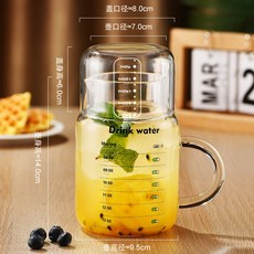 玻璃杯大容量帶蓋杯子家用喝水杯女新款2025耐熱帶把刻度男泡茶杯, 1個, 800ml【按時喝水】+刻度蓋