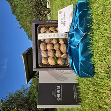 국내산 프리미엄 송화버섯 설 명절 선물세트, 1세트, 송화버섯 프리미엄 선물용 특 1kg