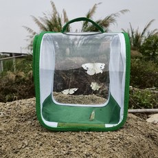 Sugar Jenny 360度透明蝴蝶蜻蜓昆蟲養殖篩籠