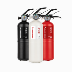 커들쉴드 차량용 소화기 자동차겸용 가정용 캠핑용, 1개, 레드, 700g