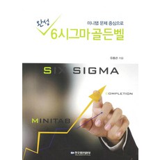 완성6시그마 골든벨:미니탭 문제 중심으로, 한국생산성본부, 유종관 저