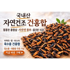 국내산 자연건조 건홍합 대용량 업소용 미역국 홍합탕재료 홍합건어물, 1세트, 100g