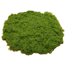 인조이끼 조화 인테리어 인조 이끼 조경 장식 소품 100g 대용량, 1개, 연한녹색 100g