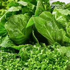 [동김제농협] 유러피안샐러드 3-4종 1kg 대용량 야채믹스 채소믹스, 01. 샐러드1kg 3-4종랜덤