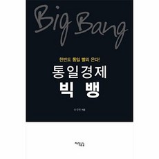 통일경제 빅뱅, 지식공감, 송경헌 저