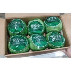 Green one 양상추 6통(종이박스), 6개