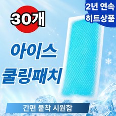 씨엠 쿨링패치 냉찜질 아이스 쿨패치, 30개