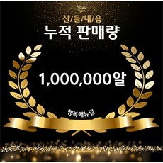 유기농 대란 1등급 난각번호 1번 무항생제 계란 자연 방사 자유 방목 친환경 1번란 논지엠오 Nongmo, 1개, 20구