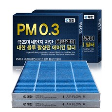 대한카필터 PM0.3 블루 활성탄 자동차 에어컨 필터, 2개, BF159