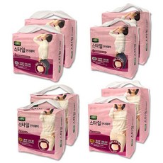 디펜드 스타일 언더웨어 여성용 요실금팬티 패드 2팩