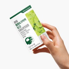 혈행개선 인지력기억력개선영양제 징코+비타민+아연+셀렌 2개월분 어르신 70대80대 부모님