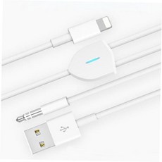 옥스선 자동차 호환 억스 AUX충전케이블 2in1 DZW71D1D5, [F059] 화이트