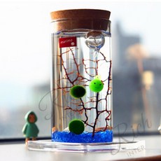 RC 코르크유리병 마리모 LED 유리병