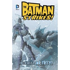 Frozen Solid by Mr. Freeze! Hardcover, Stone Arch Books