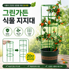 그린가든 원예 화분 식물 지지대, 20개 20개