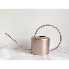 澆花壺 北歐簡約雜貨家用多肉盆栽澆花水壺淋花園藝長嘴復古不銹鋼, 1.3L粉金色, 1個