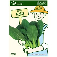 아시아종묘 씨앗 청경채 500립, 1개