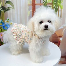 반려견옷 강아지 고양이 반려동물 플라워 프릴원피스 강아지티셔츠 애견옷 애견티셔츠, 옐로우