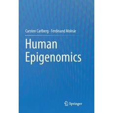 (영문도서) Human Epigenomics Paperback, Springer, English, 9789811356605