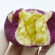 리얼 고구마빵 100%국산 강원도 고구마빵 글루텐프리 식사대용 쌀빵 냉동 개별포장, 500g, 1세트
