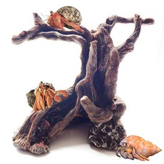 Anranmm 소라게 등반 장난감 수족관 장식 인공 나무 줄기 장식품 베타 물고기 은신처 동굴 파충류 서식지 액세서리 레오파드 게코 도마뱀용 141151, Anranmm 소라게 등반 장난감 수족관 장식 인공 나