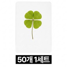 디심플 행운 네잎클로버 코팅 50개 세트