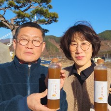 지리산 산골장터 생강청 생강진액차 생강진액, 1개, 600g