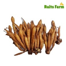 [루츠팜] 태국 생 핑거루트 100g 까차이 가차이 fingerroot, 1개