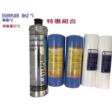 EVERPURE BH2/BH2替換S100 S104 H104 H100樹脂濾芯 - 一年份, 1個