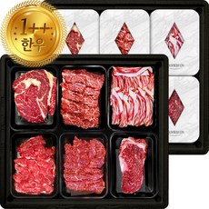 최고급부위선정 1++ 한우선물세트 구이용 최상급, 1개