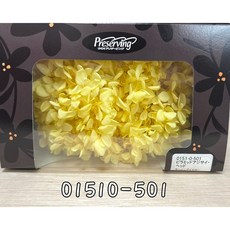 花藝夢*日本大地農園-不凋繡球花-01510金字塔繡球 不凋花 永生花 乾燥花 (以克計價), 501, 黃色