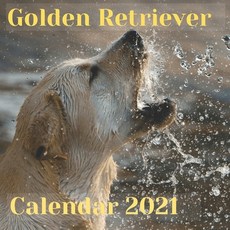 Golden Retriever Calendar 2021: Puppy Happy Relaxation Calendar Planner Desk Calendar Organizer Perf... Paperback, Independently Published, English, 9798706695637