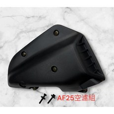 DIO AF25 空濾總成 副廠日規含螺絲含高流量濾綿, 1個