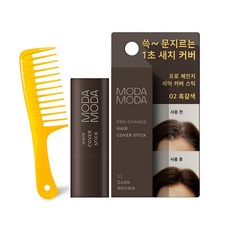 모다모다 프로체인지 헤어커버스틱 02흑갈색(Dark Brown) + 칼라 도끼빗(색상랜덤배송) 강력밀착 파워지속력 새치커버스틱, 1개, 1개