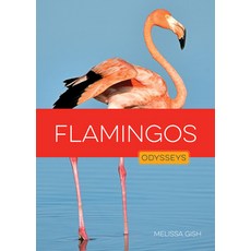 (英文圖書)Flamingos Library Binding, Creative Education, 英文, 圖書館裝訂