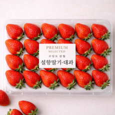 프리미엄 설향 딸기 대과 당도선별, 1개, 750g