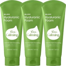 히알루론산 시카 폼클렌징 저자극 진정 약산성 모공 딥 폼 클렌저 220ml, 3개, 220g