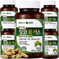 식약처인증 은행잎추출물 고함량 징코 플러스, 60정, 12개