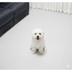 [나도있다] 반려동물 미끄럼방지 흡착 타일 매트 강아지 고양이 슬개골 보호 카페트 (30x30cm) 9P, 9개, 화이트