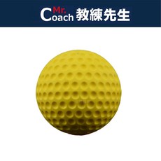 Mr. Coach 洞洞壘球 練習球, 1個
