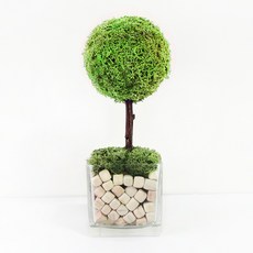 모스트리 순록이끼나무 핸드메이드 스칸디아모스, 스프링그린, 1개