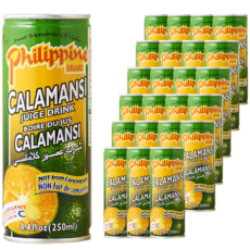 필리핀브랜드 칼라만시주스 깔라만시주스 Calamansi juice, 24개, 250ml
