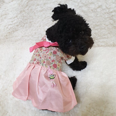 플라워 한복 원피스, 핑크, 1개