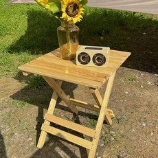 수영장 테라스 비치 접이식 의자 썬베드 카페, AE. 로그 색상