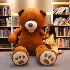 대형 곰돌이인형 쿠션 대형 인테리어 봉제인형, 2.8m - 2.5m, 어두운 갈색