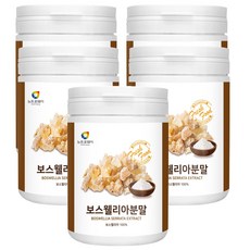 보스웰리아 추출 분말 가루 파우더 인도산 보스엘리아 먹는법 보스웨리아 boswellia [서영이네], 200g, 5통