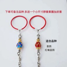 스테인레스 버드 스파이크 비둘기 베란다 창틀 퇴치, 1개, D. 까치 홍부리 파랑까치 개