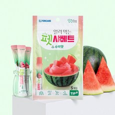포켄스 얼려 먹는 펫샤베트 강아지간식, 1개, 65g, 수박