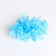 화연양화 프리저브드플라워 수국 1g 30색, 18 민트